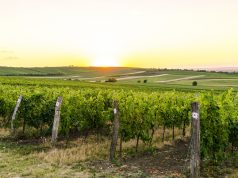 Kam vyrazit v létě na Moravě? Poznejte „neznámé krásy“
