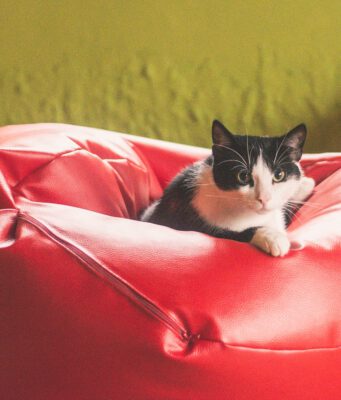 Sedací vak jako netradiční křeslo do vaší pracovny či obýváku