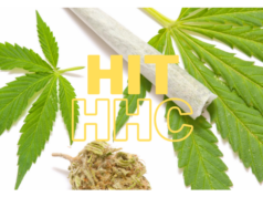 Hit HHC: Novinka, která všechny uchvátila