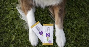 EnteroZOO: domácí veterinární „záchranka“