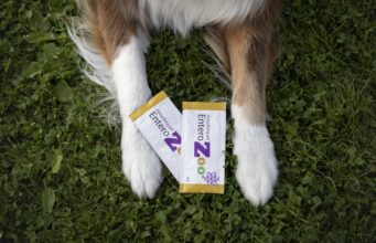 EnteroZOO: domácí veterinární „záchranka“